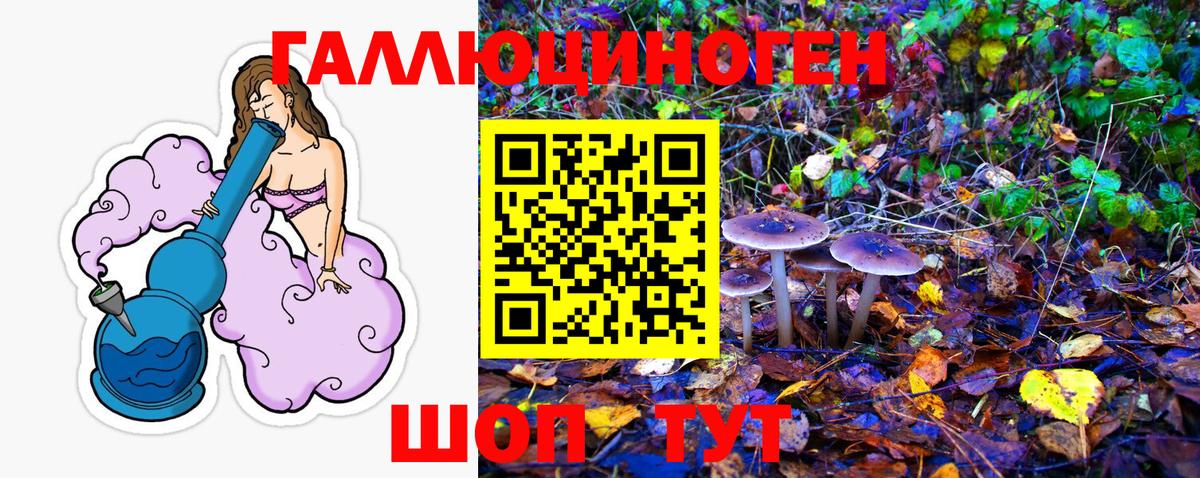 Псилоцибиновые грибы ЛСД  Вход с VPN  Усть-Джегута  Псилоцибиновые грибы Cubensis 