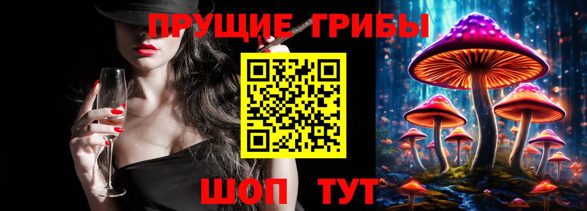 Галлюциногенные грибы GOLDEN TEACHER Усть-Джегута